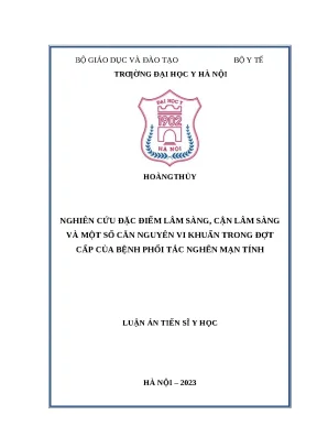 Luận án tiến sĩ nghiên cứu đặc điểm lâm sàng cận lâm sàng và một số căn nguyên vi khuẩn trong đợt cấp của bệnh phổi tắc nghẽn mạn tính