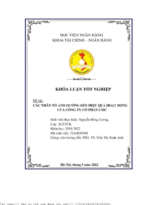 Các nhân tố ảnh hưởng đến hiệu quả hoạt động của công ty cổ phần cmc