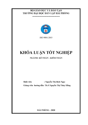 Hoàn thiện tổ chức công tác kế toán hàng hóa tại công ty cổ phần đầu tư khoáng sản việt long
