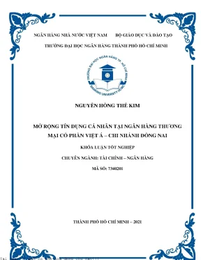 Mở rộng tín dụng cá nhân tại ngân hàng tmcp việt á chi nhánh đồng nai 2021