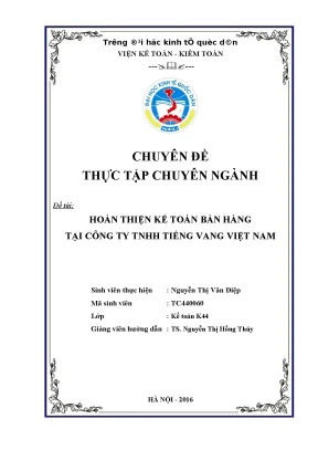 Hoàn thiện kế toán bán hàng tại công ty tnhh tiếng vang việt nam