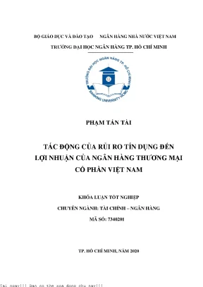 Tác động của rủi ro tín dụng đến lợi nhuận của ngân hàng thương mại cổ phần việt nam khóa luận đại học chuyên ngành tài chính ngân hàng