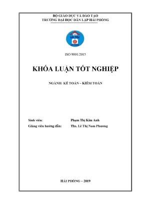 Hoàn thiện công tác kế toán doanh thu chi phí và xác định kết quả kinh doanh tại công ty cổ phần việt
