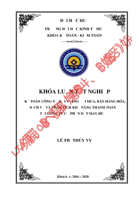 Kế toán công nợ đối với người mua bán hàng hóa dịch vụ trong nước và phân tích khả năng thanh toán tại công ty cổ phần dệt may huế