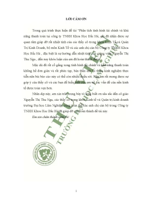 Phân tích tình hình tài chính và khả năng thanh toán tại công ty tnhh khoa học bắc hà