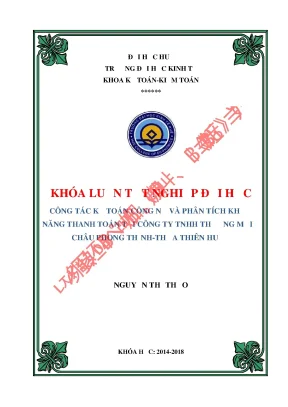 Công tác kế toán công nợ và phân tích khả năng thanh toán tại công ty tnhh thương mại châu phong thịnh thừa thiên huế