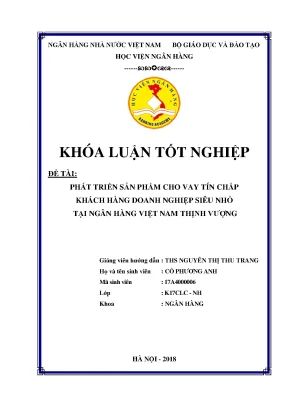 Phát triển sản phẩm cho vay tín chấp khách hàng doanh nghiệp siêu nhỏ tại ngân hàng việt nam thịnh vượng khoá luận tốt nghiệp