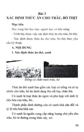 Giáo trình nuôi trâu bò thịt nghề nuôi và phòng trị bệnh cho trâu bò phần 2