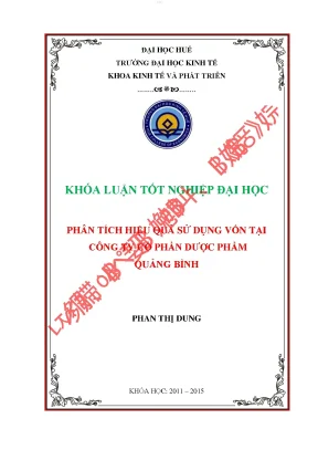 Phân tích hiệu quả sử dụng vốn tại công ty cổ phần dược phẩm quảng bình