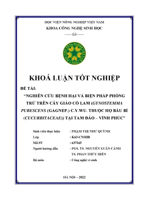 Nghiên cứu bệnh hại và biện pháp phòng trừ trên cây giảo cổ lam gynostemma pubescens gagnep cywu thuộc họ bầu bí cucurbitaceae tại tam đảo vĩnh phúc