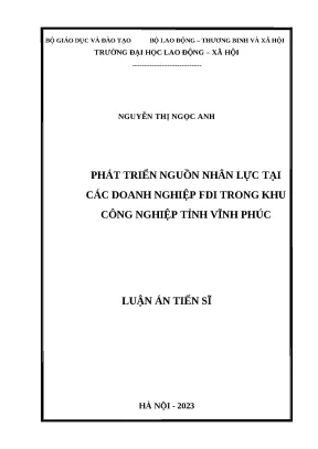 Luận án tiến sĩ phát triển nguồn nhân lực tại các doanh nghiệp fdi trong khu công nghiệp tỉnh vĩnh phúc