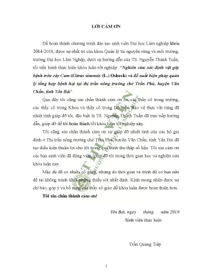 Nghiên cứu xác định vật gây bệnh trên cây cam citrus sinensis l osheck và đề xuất biện pháp quản lý tổng hợp bệnh hại tại thị trấn nông trường chè trần phú huyện văn chấn tỉnh yên bái