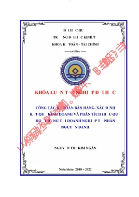 Công tác kế toán bán hàng xác định kết quả kinh doanh và phân tích hiệu quả hoạt động tại doanh nghiệp tư nhân nguyễn danh