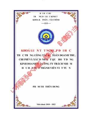Kế toán doanh thu chi phí và xác định kết quả hoạt động kinh doanh tại công ty tnhh mtv việt tuấn