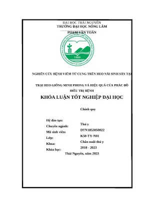 Luận văn nghiên cứu bệnh viêm tử cung trên heo nái sinh sản tại trại heo giống minh phong và hiệu quả của phác đồ điều trị bệnh
