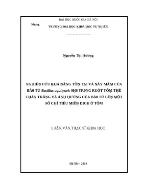 Luận văn thạc sĩ tính toán đường bao cực đại của nước dâng do bão lvts vnu