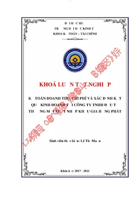 Kế toán doanh thu chi phí và xác định kết quả kinh doanh tại công ty tnhh đầu tư thương mại xuất nhập khẩu gia hưng phát