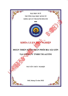 Hoàn thiện kênh phân phối bia sài gòn tại công ty tnhh tm agtini