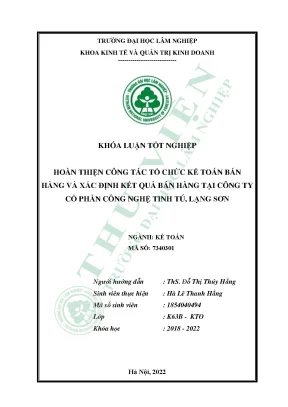 Hoàn thiện công tác tổ chức kế toán bán hàng và xác định kết quả bán hàng tại công ty cổ phần công nghệ tinh tú lạng sơn