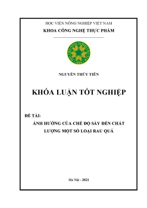 Ảnh hưởng của chế độ sấy đến chất lượng một số loại rau quả