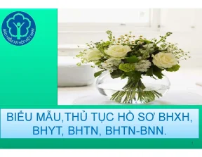 Bảo hiểm xã hội thực hành