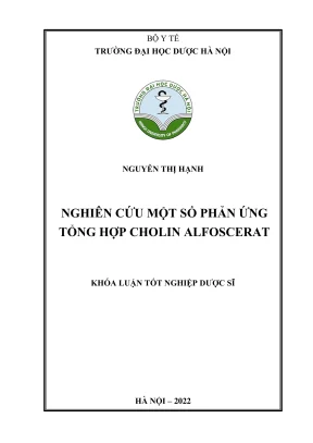 Kl hup nghiên cứu một số phản ứng tổng hợp choline alfoscerate