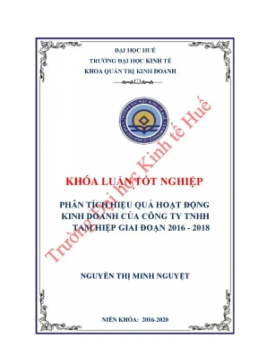 Phân tích hiệu quả hoạt động kinh doanh của công ty tnhh tam hiêp giai đoạn 2016 2018