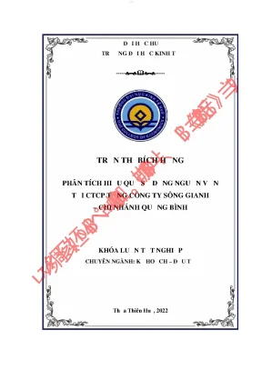 Phân tích hiệu quả sử dụng nguồn vốn tại ctcp tổng công ty sông gianh