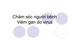 Dung297 2806