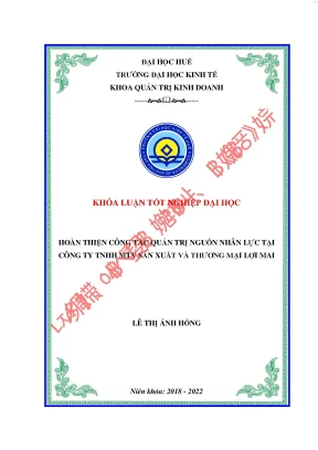 Hoàn thiện công tác quản trị nguồn nhân lực tại công ty tnhh mtv sản xuất và thương mại lợi mai