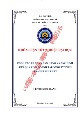 Công tác kế toán bán hàng và xác định kết quả kinh doanh tại công ty tnhh thanh linh phát