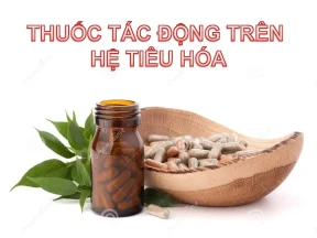 Thuốc tác động lên hệ tiêu hóa