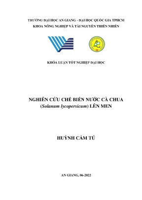 Nghiên cứu chế biến nước cà chua solanum lycopersicum lên men