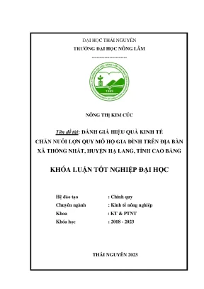 Đánh giá hiệu quả kinh tế chăn nuôi lợn quy mô hộ gia đình trên địa bàn xã thống nhất huyện hạ lang tỉnh cao bằng