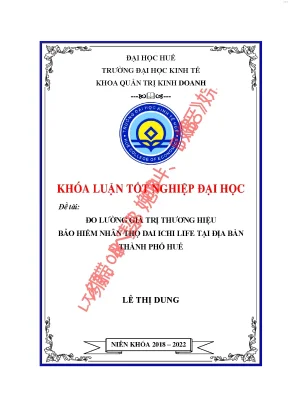 Đo lường giá trị thương hiệu bhnt dai ichi life tại địa bàn thành phố huế