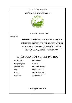 Luận văn tình hình mắc bệnh viêm tử cung và biện pháp phòng trị trên lợn nái sinh sản nuôi tại trại lợn đỗ đức thuận huyện ba vì thành phố hà nội