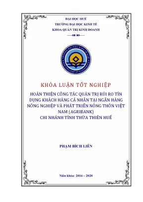 Hoàn thiện công tác quản trị rủi ro tín dụng khách hàng cá nhân tại ngân hàng nông nghiệp và phát triển nông thôn việt nam agribank chi nhánh tỉnh thừa thiên huế