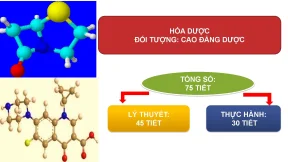 Dung32 1108