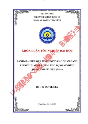 Đánh giá hiệu quả hoạt động các ngân hàng thương mại việt nam ứng dụng mô hình màng bao dữ liệu dea