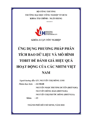 Ứng dụng phương pháp phân tích bao dữ liệu và mô hình tobit để đánh giá hiệu quả hoạt động của các ngân hàng thương mại việt nam