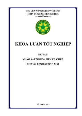 Khảo sát nguồn gen cà chua kháng bệnh sương mai