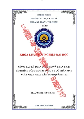 Kế toán công nợ và phân tích tình hình công nợ tại công ty cổ phần may xuất nhập khẩu tân định