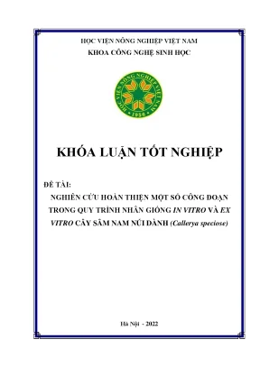 Nghiên cứu hoàn thiện một số công đoạn trong quy trình nhân giống in vitro và ex vitro cây sâm nam núi dành callerya speciose