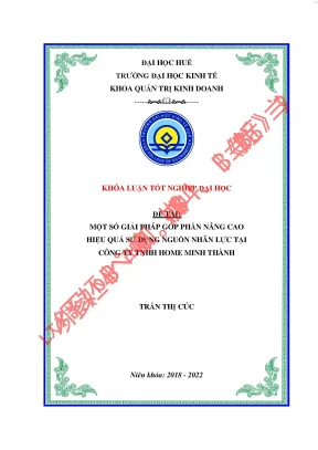 Một số giải pháp góp phần nâng cao hiệu quả sử dụng nguồn nhân lực tại cty tnhh home minh thành