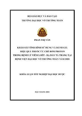 Khảo sát tình hình sử dụng và đánh giá hiệu quả của thuốc ức chế bơm proton trên bệnh nhân viêm loét dạ dày tá tràng tại bệnh viện đại học võ trường toản năm 2020