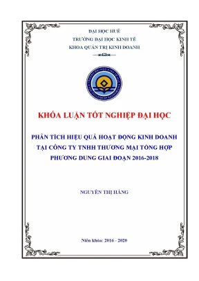 Khóa luận tốt nghiệp phân tích hiệu quả hoạt động kinh doanh tại công ty tnhh thương mại tổng hợp phương dung giai đoạn 2016 2018
