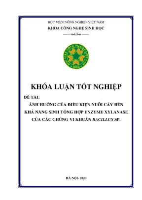Ảnh hưởng của điều kiện nuôi cấy đến khả năng sinh tổng hợp enzyme xylanase của các chủng vi khuẩn bacillus sp