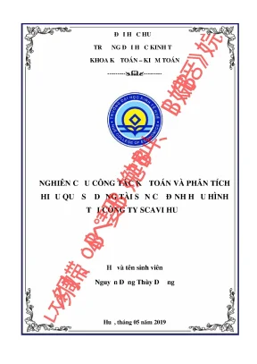 Nghiên cứu công tác kế toán và phân tích hiệu quả sử dụng tài sản cố hữu hình tại công ty scavi huế