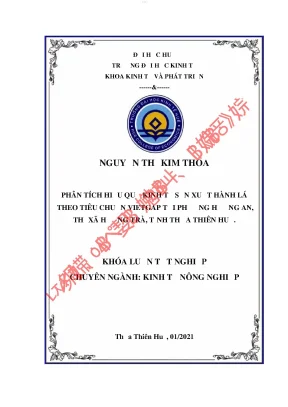 Phân tích hiệu quả kinh tế sản xuất hành lá theo tiêu chuẩn vietgap ở phường hương an thị xã hương trà tỉnh thừa thiên huế