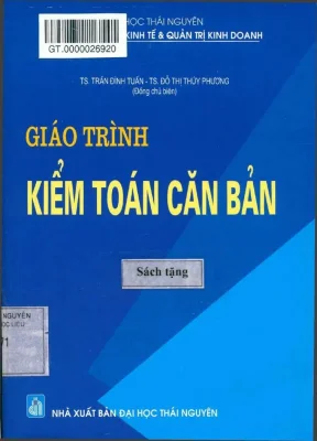 Giáo trình kiểm toán căn bản phần 1 ts trần đình tuấn
